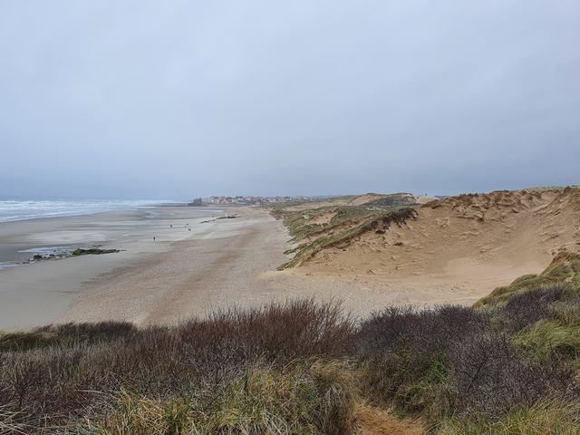 La plage et les dunes au printemps