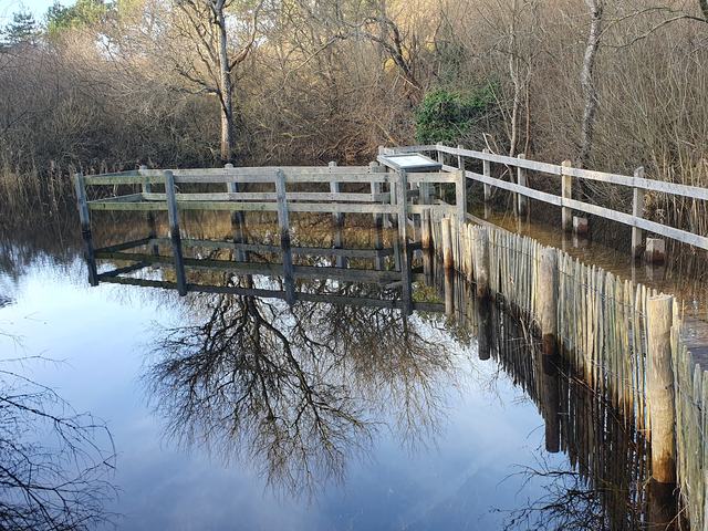 Reflets d'hiver au bord de l'eau